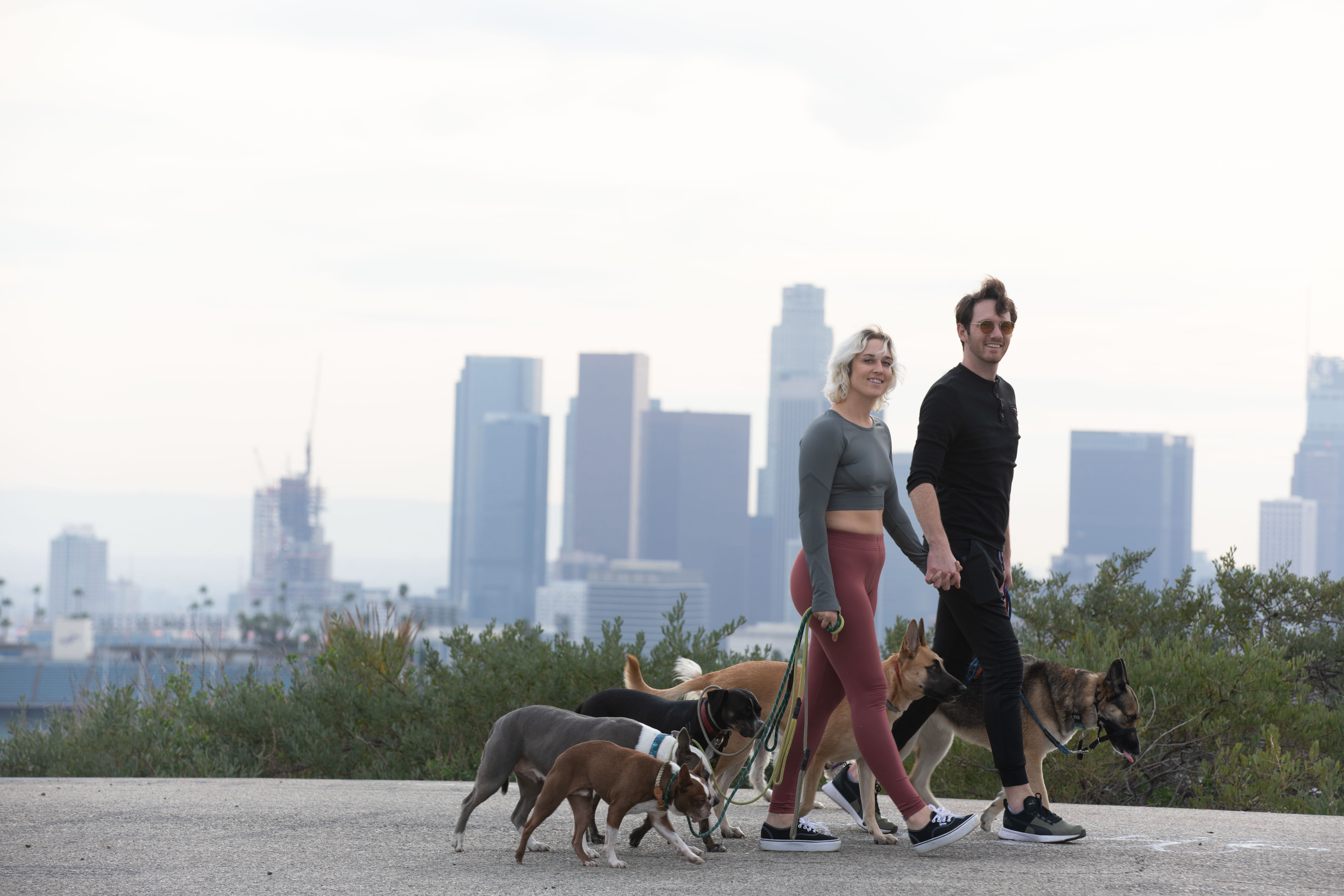 Pack walk with dogs in Beverly Hills
